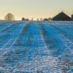 br-winter-show-024