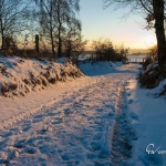 br-winter-show-025