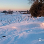 br-winter-show-026