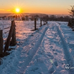 br-winter-show-027