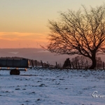 br-winter-show-028