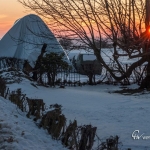 br-winter-show-029