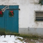 br-winter-show-046