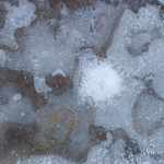 br-winter-show-048