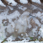 br-winter-show-049
