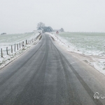 br-winter-show-050