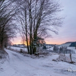 br-winter-show-061