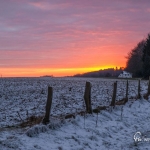 br-winter-show-064