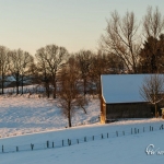br-winter-show-072