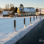 br-winter-show-073