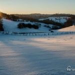 br-winter-show-074