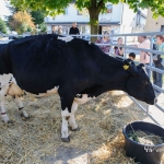 4-bauernmarkt12