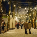 5-weihnachtsmarkt-03